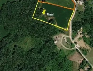Fazenda/Sítio à venda, 16000m² no Campo Novo, Campo Magro