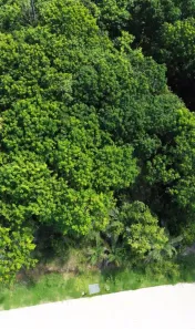 Lote/Terreno à venda, 700m² no Praia do Forte, Mata de São João