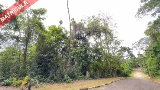 Lote/Terreno à venda, 1000m² no Feiticeira (Cambaquara), Ilhabela