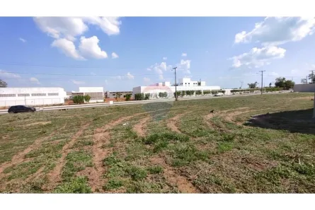Lote/Terreno à venda, 250m² no Jardim dos Ipês III, Araguaína