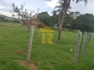 Lote/Terreno à venda, 57500m² no , Neves Paulista
