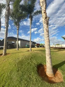 Casa de Condomínio com 3 Quartos à venda, 200m² no Jardins Marselha, Aparecida de Goiânia
