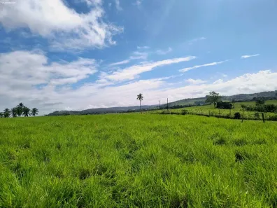 Fazenda/Sítio à venda, 270000m² no , São Sebastião do Passé