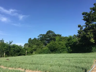 Lote/Terreno à venda, 360m² no Ponta Negra (Ponta Negra), Maricá