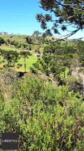 com 3 Quartos à venda, 34000m² no , Bom Jardim da Serra