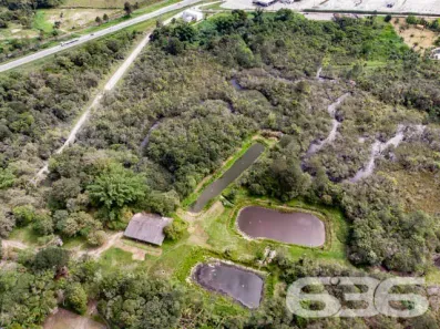 Lote/Terreno à venda, 41187m² no Areias Pequenas, Araquari
