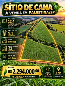 Fazenda/Sítio à venda, 242000m² no Centro, Palestina