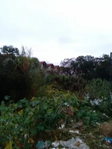Lote/Terreno à venda, 2614m² no Jardim Célia, Guarulhos