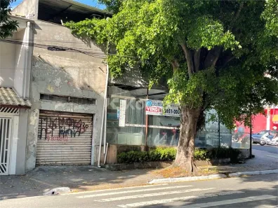 Lote/Terreno à venda, 280m² no Vila Matilde, São Paulo
