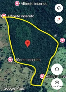 Fazenda/Sítio com 1 Quarto à venda, 290400m² no , Jandaia