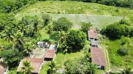 Fazenda/Sítio à venda, 160000m² no Centro, Conde