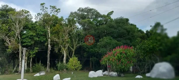 Fazenda/Sítio à venda, 10m² no Restinga, Porto Alegre