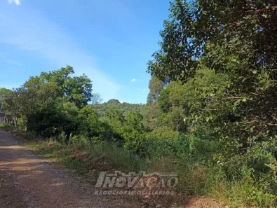 Fazenda/Sítio com 1 Quarto à venda, 50000m² no Área Rural de Farroupilha, Farroupilha