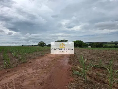 Fazenda/Sítio à venda, 556600m² no , Uchoa