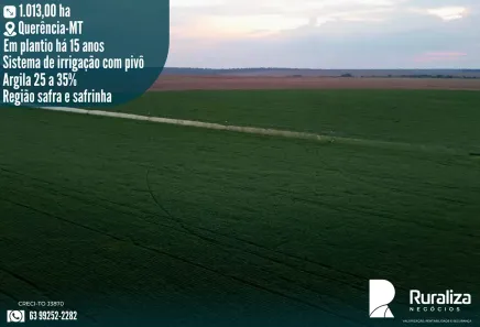 Fazenda/Sítio à venda, 1013m² no , Querência