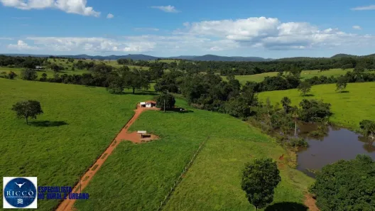 Fazenda/Sítio com 3 Quartos à venda, 166m² no Setor Central, Vila Propício