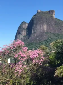 Casa com 4 Quartos à venda, 330m² no São Conrado, Rio de Janeiro