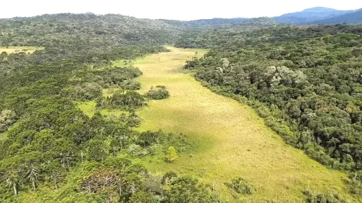 Fazenda/Sítio à venda, 91000m² no , Urubici
