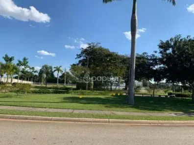 Lote/Terreno à venda, 1341m² no Vila Cruz das Almas, São Paulo