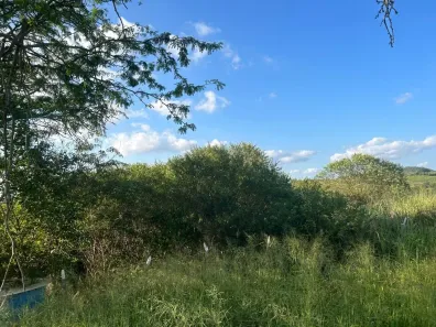 Lote/Terreno com 1 Quarto à venda, 2452m² no Mandacaru, Gravatá