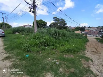 Lote/Terreno à venda, 442m² no Balneário São Pedro, São Pedro da Aldeia
