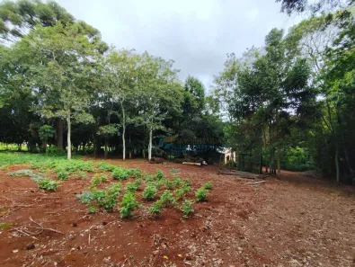 Fazenda/Sítio à venda, 12000m² no São João d'Oeste, Cascavel