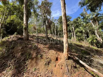 Lote/Terreno à venda, 875m² no São Pedro, Brusque