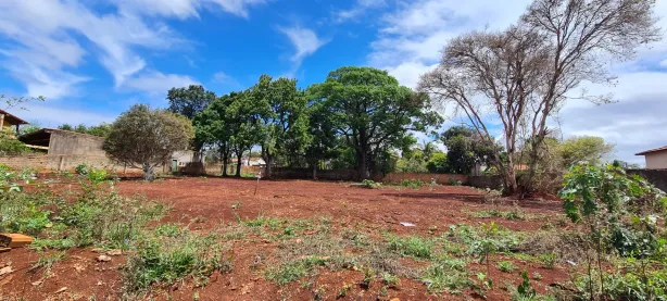 Lote/Terreno à venda, 1000m² no Bananal, Campinas