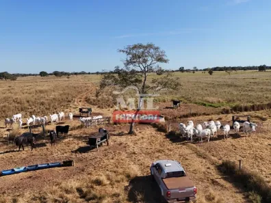 Fazenda/Sítio à venda, 1m² no , São Miguel do Araguaia