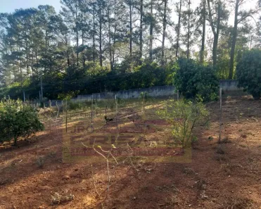 Lote/Terreno à venda, 6244m² no Chácaras do Guacuri, Itupeva
