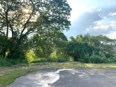 Lote/Terreno à venda, 458m² no Parque Residencial Itapeti, Mogi das Cruzes