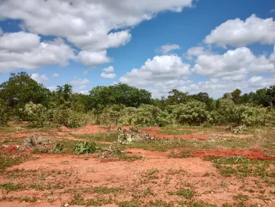 Lote/Terreno à venda, 20000m² no Zona Rural, Paraopeba