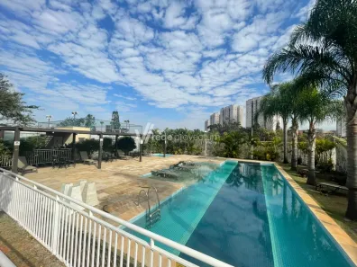 Apartamento com 2 Quartos à venda, 50m² no Residencial Parque da Fazenda, Campinas