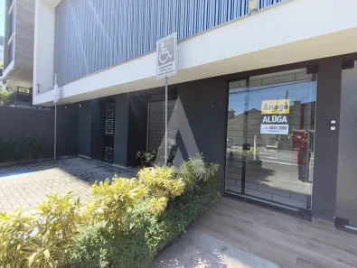Ponto Comercial para alugar, 64m² no Anita Garibaldi, Joinville