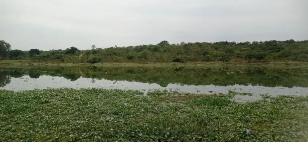 Fazenda/Sítio com 2 Quartos à venda, 1000m² no Alexânia, Alexânia