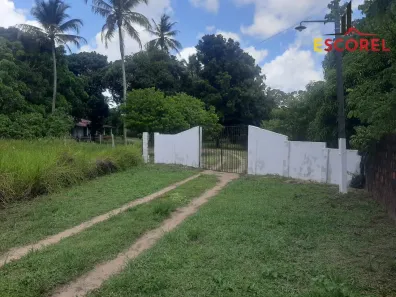 Lote/Terreno com 1 Quarto à venda, 55700m² no , Alhandra
