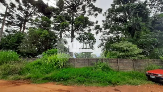 Lote/Terreno à venda, 1156m² no Uvaranas, Ponta Grossa