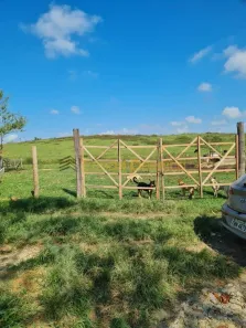 Fazenda/Sítio com 3 Quartos para alugar, 400m² no Borba, Pindamonhangaba