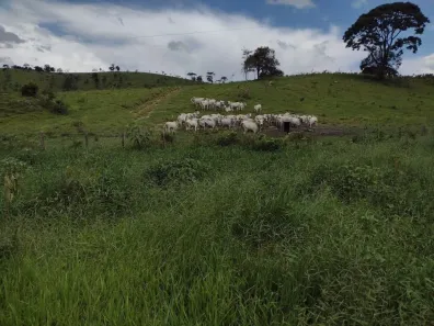 Fazenda/Sítio com 5 Quartos à venda, 498m² no Área Rural de Guaratinguetá, Guaratinguetá