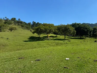 Lote/Terreno à venda, 150000m² no Potecas, São José
