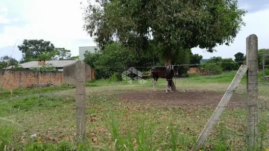 Lote/Terreno à venda, 1000m² no Lageado, Porto Alegre