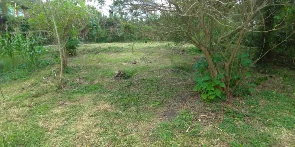 Lote/Terreno à venda, 3575m² no Morro das Pedras, Florianópolis