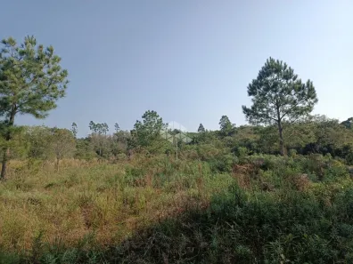 Lote/Terreno à venda, 18075m² no , Nova Petrópolis