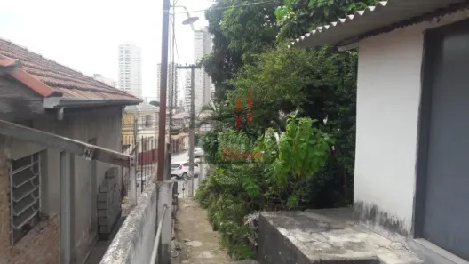 Lote/Terreno à venda, 460m² no Vila Bertioga, São Paulo