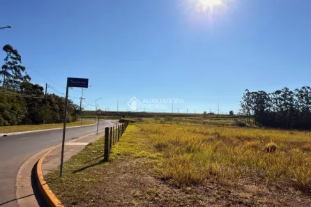 Lote/Terreno para alugar, 937m² no Morada Gaúcha, Gravataí