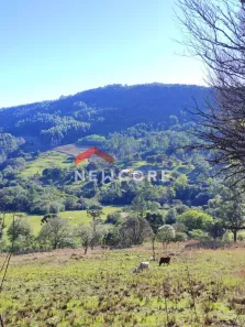 Lote/Terreno à venda, 5000m² no Centro, São Francisco de Paula