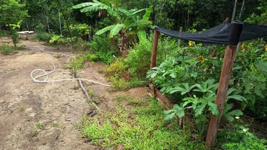 Lote/Terreno à venda, 10m² no Arraial D'Ajuda, Porto Seguro