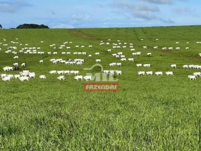 Fazenda/Sítio à venda, 500m² no , Itiquira