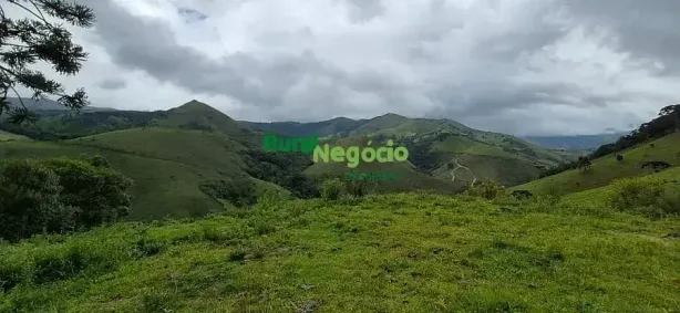 Fazenda/Sítio à venda, 73000m² no Centro, Itamonte