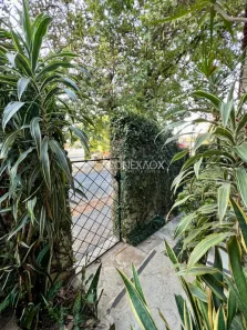 Imóvel Comercial com 4 Quartos à venda, 297m² no Cambuí, Campinas